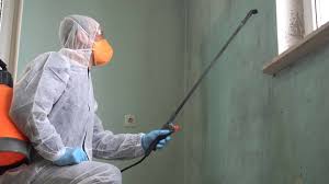 Best Asbestos and Lead Testing During Mold Inspection  in USA